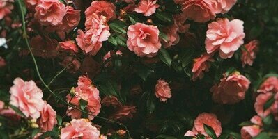 MettySpinder's profile banner image