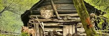 m_borumandi's profile banner image