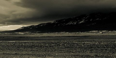 uzfo's profile banner image