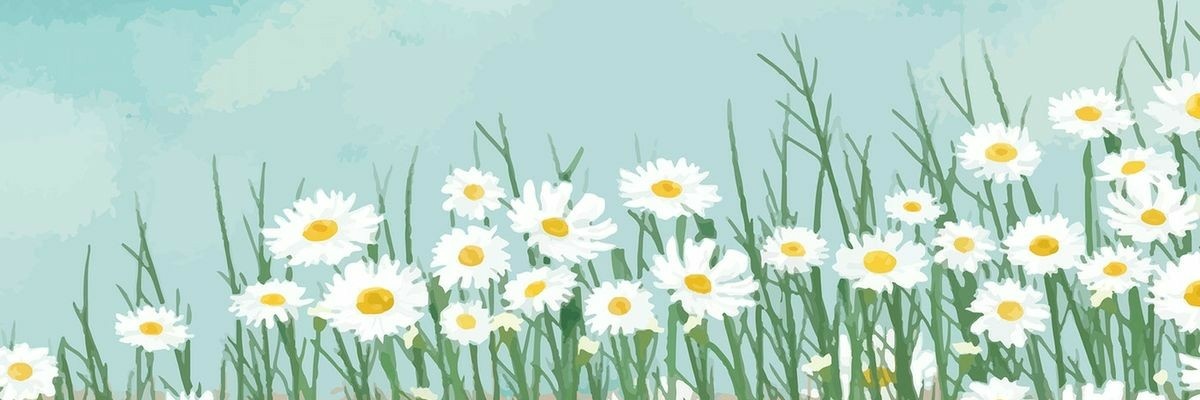 taniaTDL's profile banner image