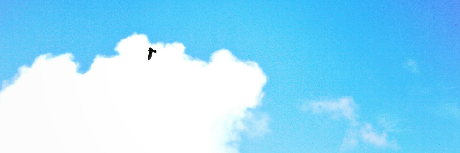 parukrispi's profile banner image