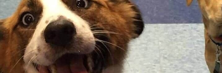 Haber estudiao banner