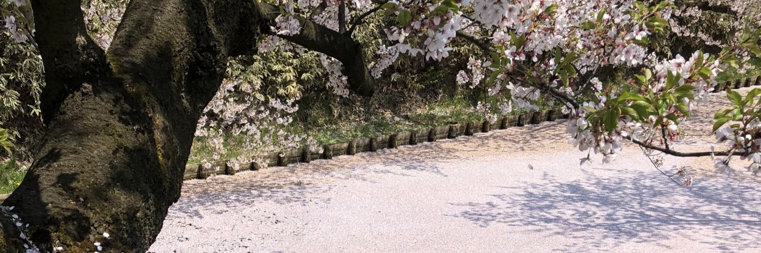 ayacchi0506's profile banner image