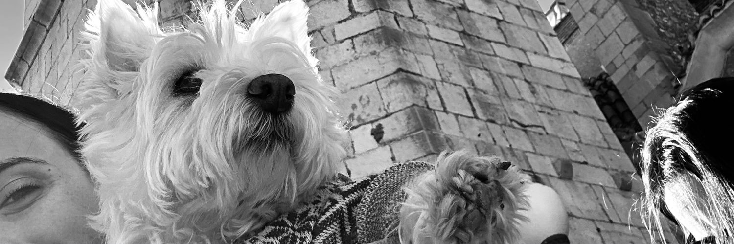 belen18bs's profile banner image