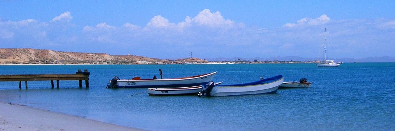 María José banner