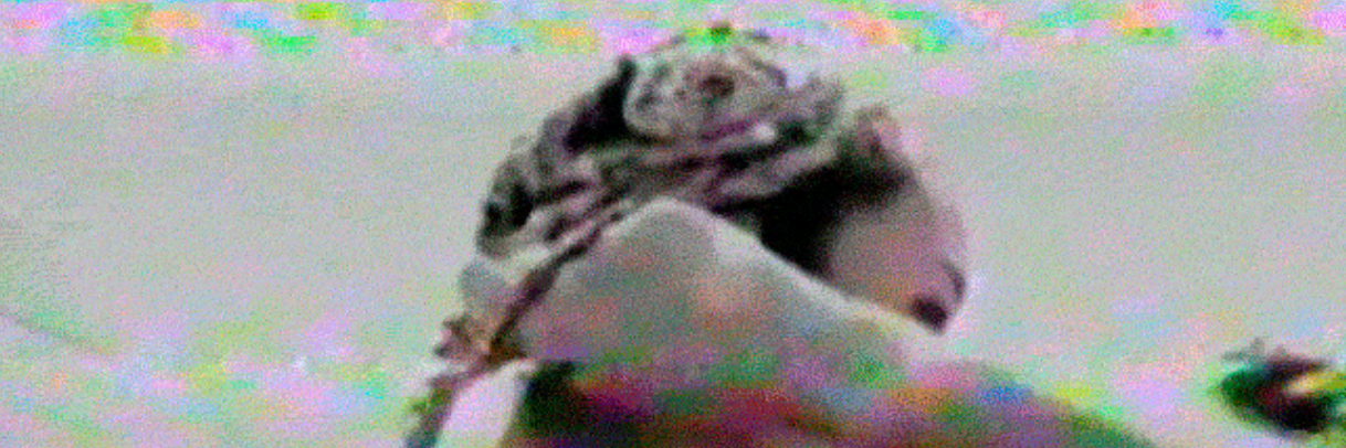 LeenRaposo's profile banner image