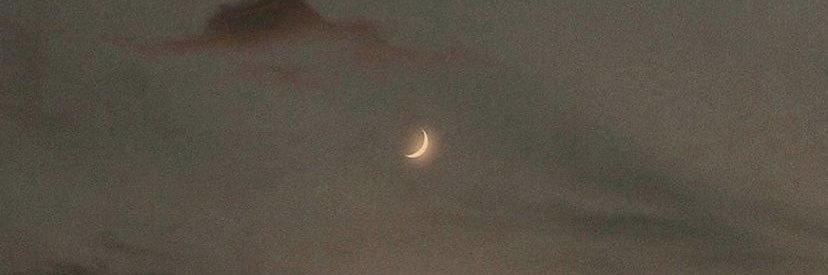 sminthito's profile banner image