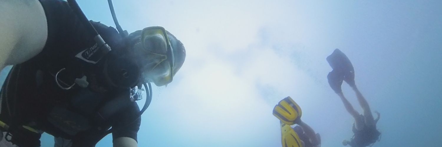 xilefbailey's profile banner image