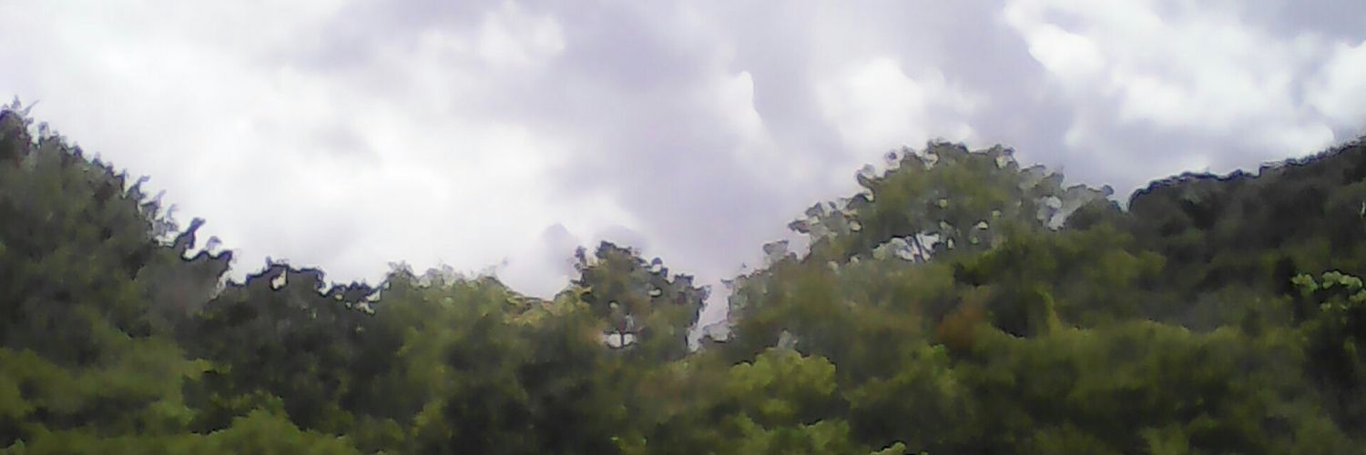 Miranda_ep's profile banner image