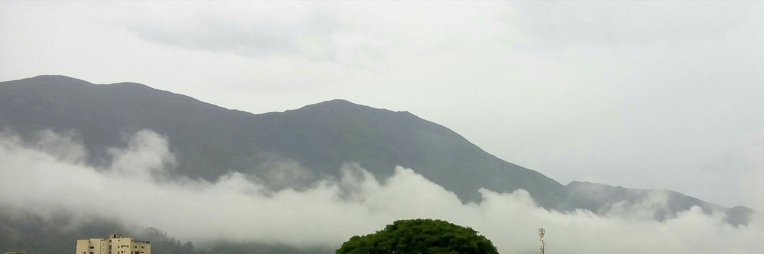 Maribriflor's profile banner image
