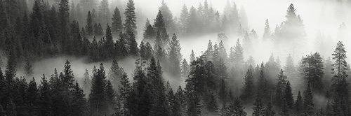 Jacksta🌑🌒🌓🌔 ⬲ banner