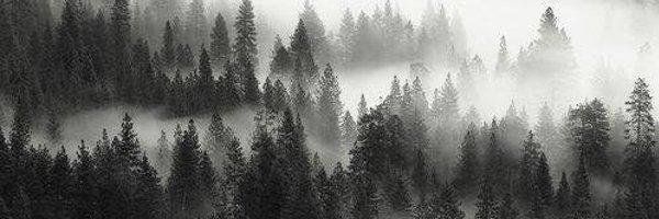 Jacksta Profile Banner