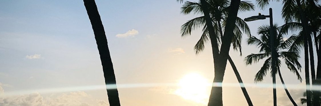 rociostella's profile banner image