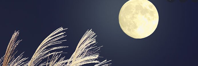 tonyhl79's profile banner image
