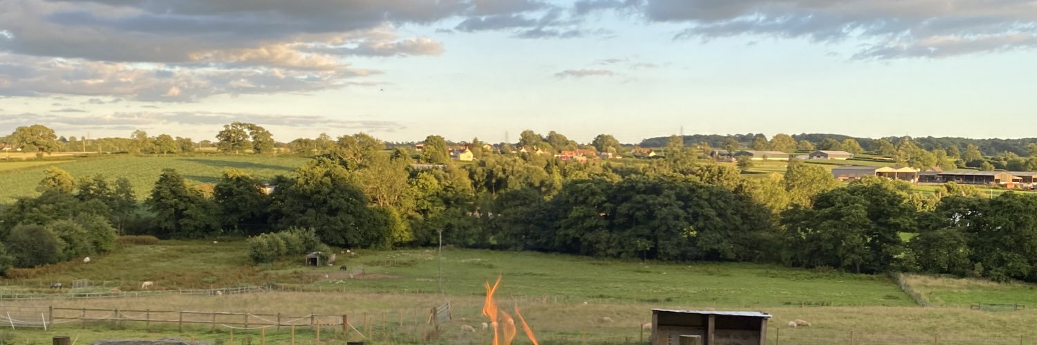 Eleanor Willock banner