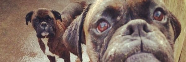 Morris_Alex7's profile banner image
