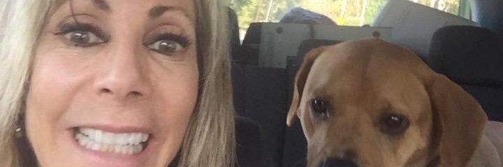 Stephanie Allori-Hillis banner