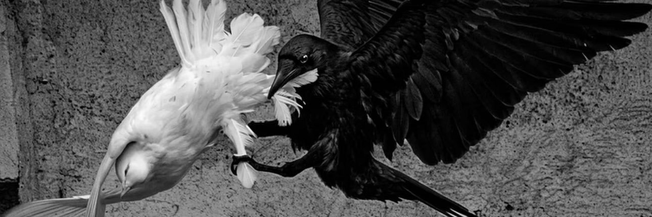 OmarMuuhamad's profile banner image