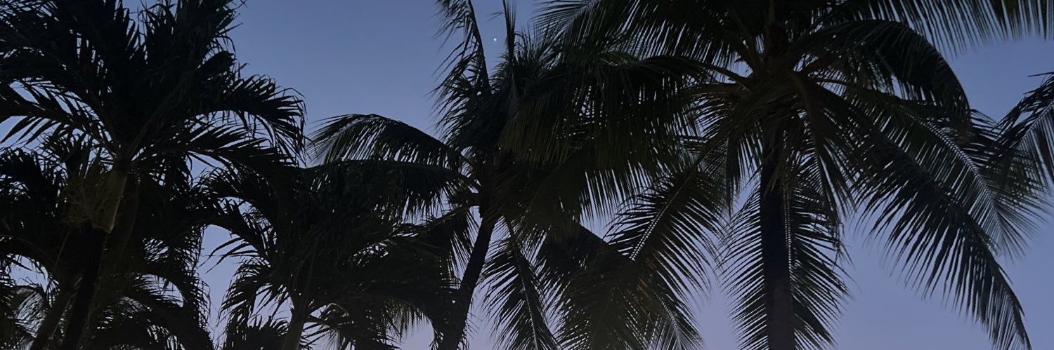 AyoMur's profile banner image