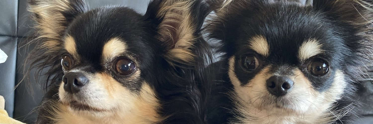 matsu_max_'s profile banner image