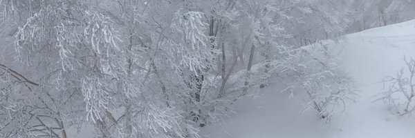 SHATE Profile Banner