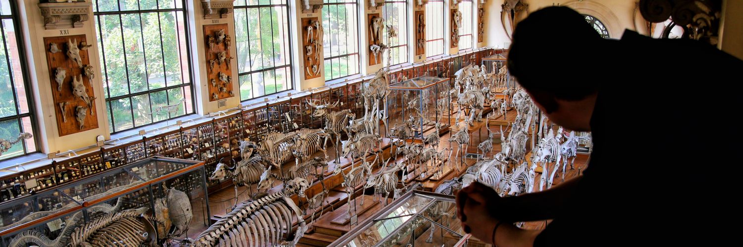 Dr Thomas Clements banner