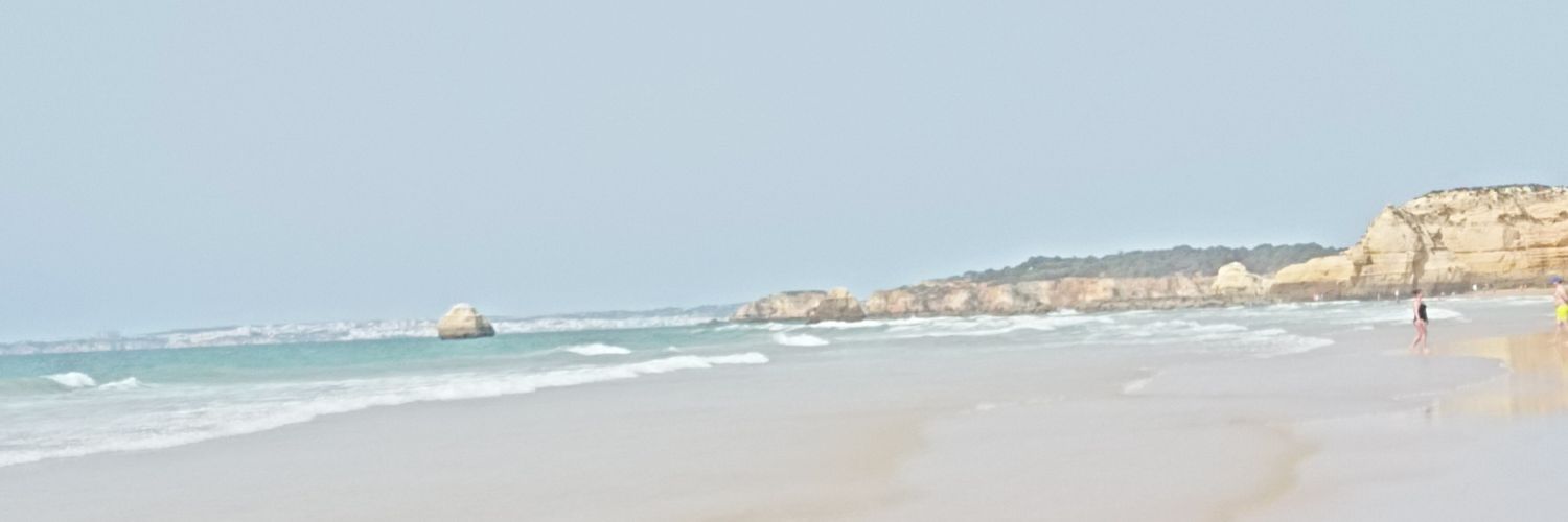 AnaMariaLiberal's profile banner image