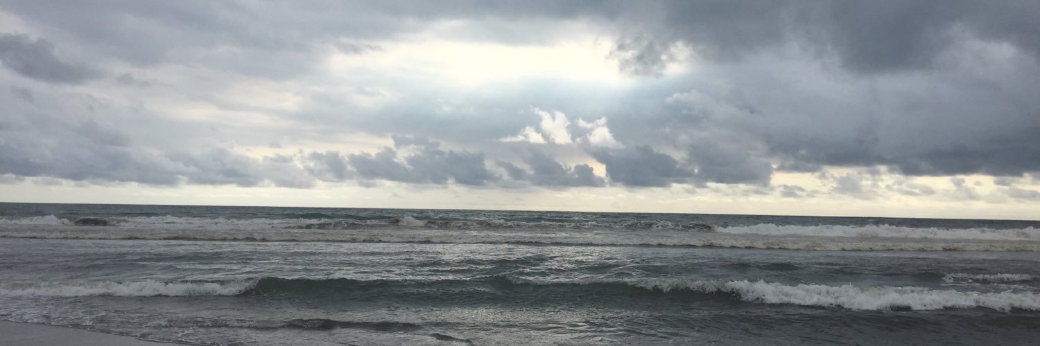 leosiesta's profile banner image