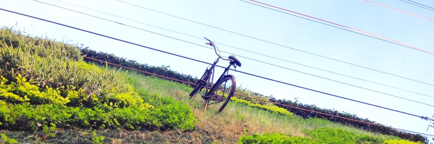 AmadoAlvarez's profile banner image