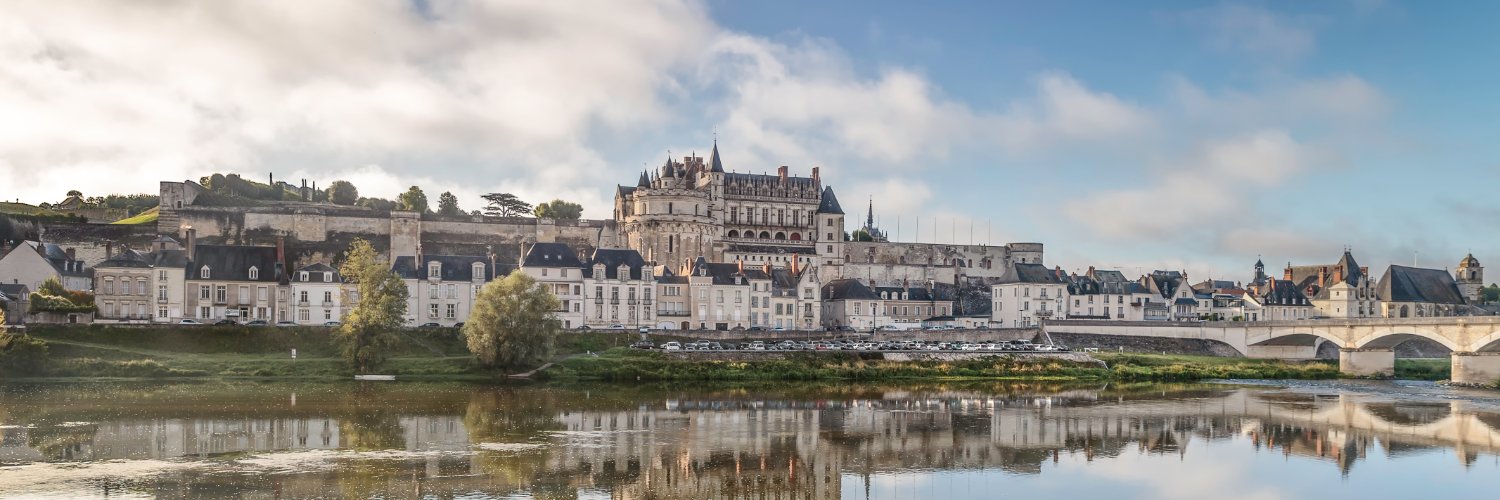 Château Royal d'Amboise banner