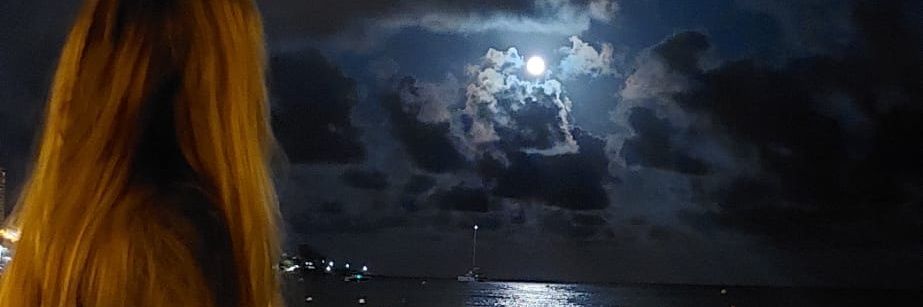 estelabg2's profile banner image