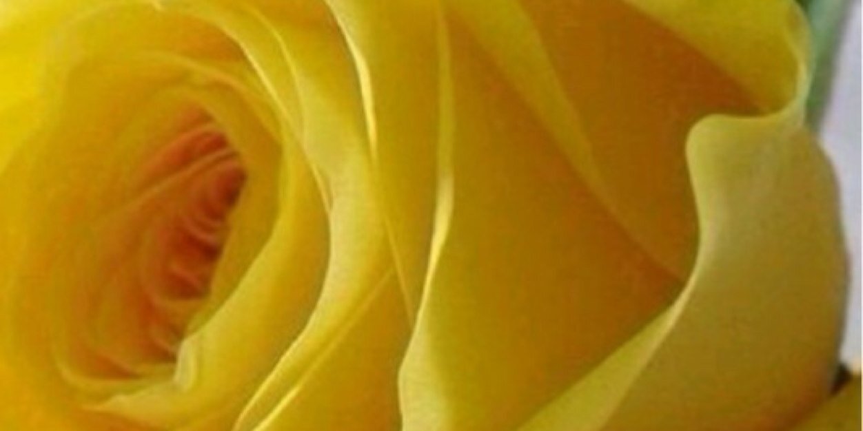 monera_24's profile banner image