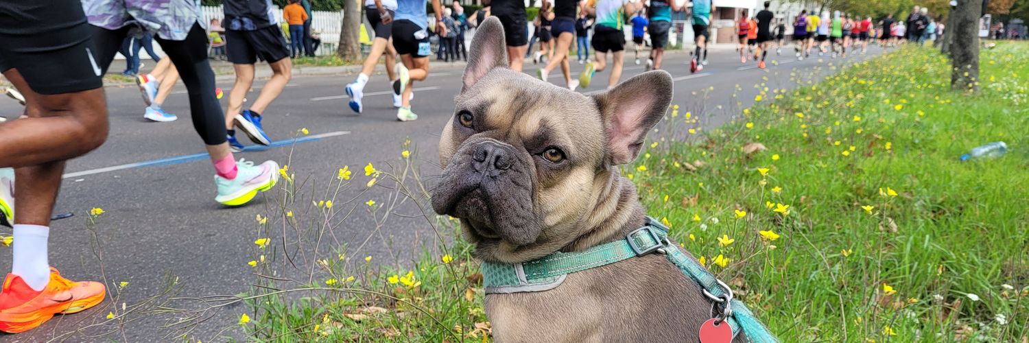 Roni نور More banner