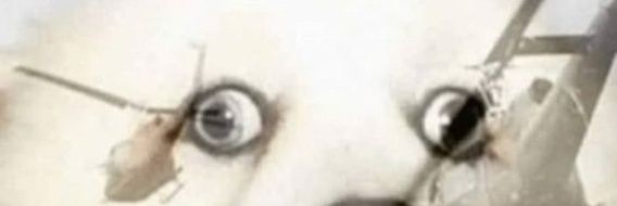 SrMoller's profile banner image
