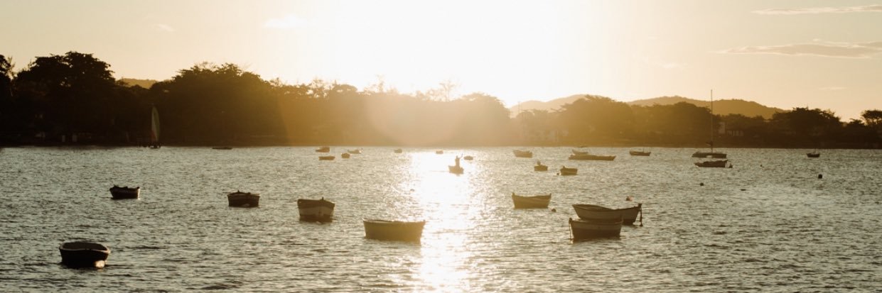 Walner Santos banner