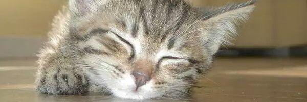 juudayou's profile banner image