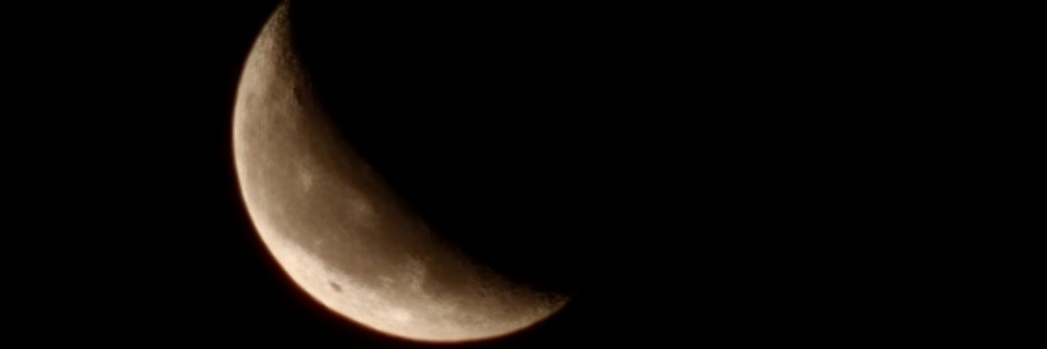 mslaadypink's profile banner image