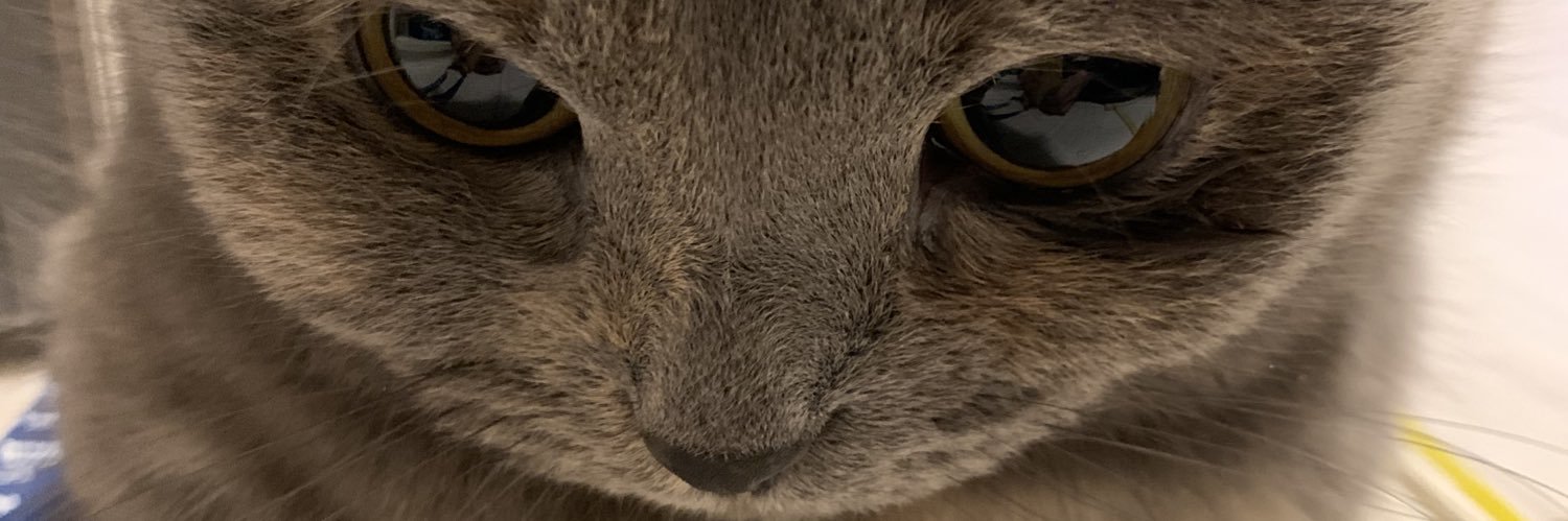 モカ【公式】 banner