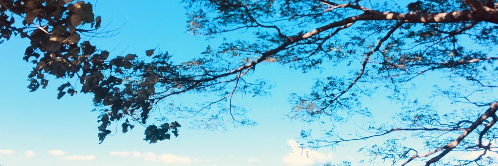 benjthehoe's profile banner image