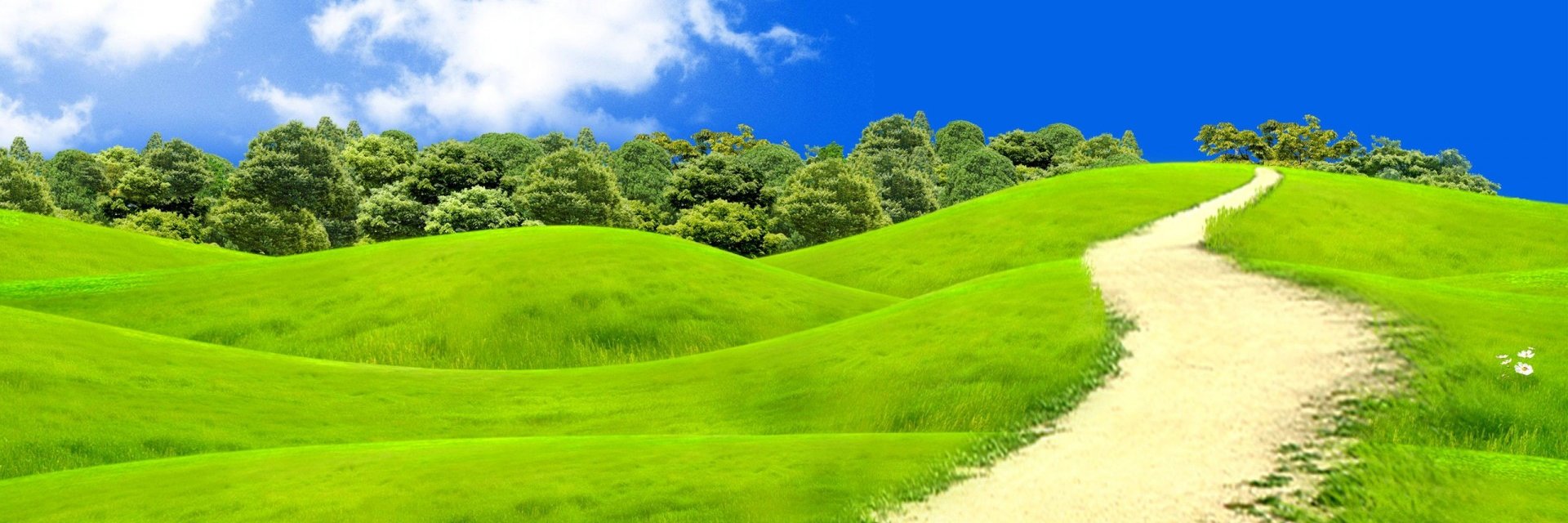 svetlinsergey's profile banner image