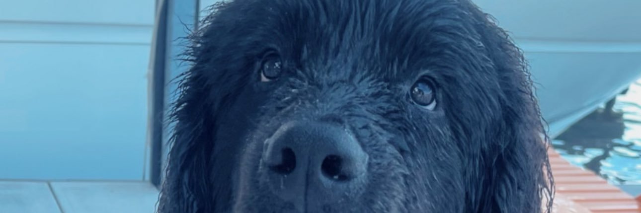 laciloeb's profile banner image