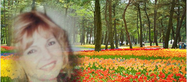 gedoni1's profile banner image