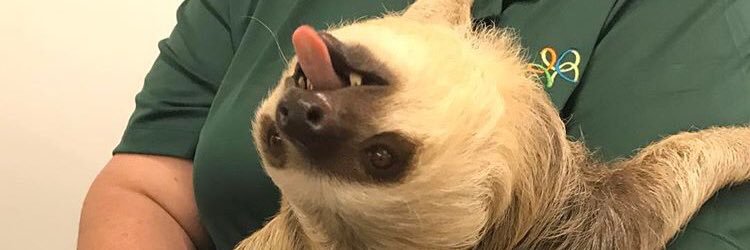 kayteegee_'s profile banner image