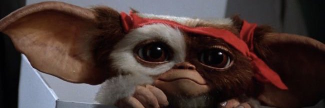 Z a i C o c o B o n g o 🥥 banner