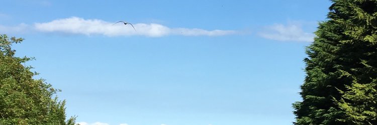 Oliver_Walker10's profile banner image