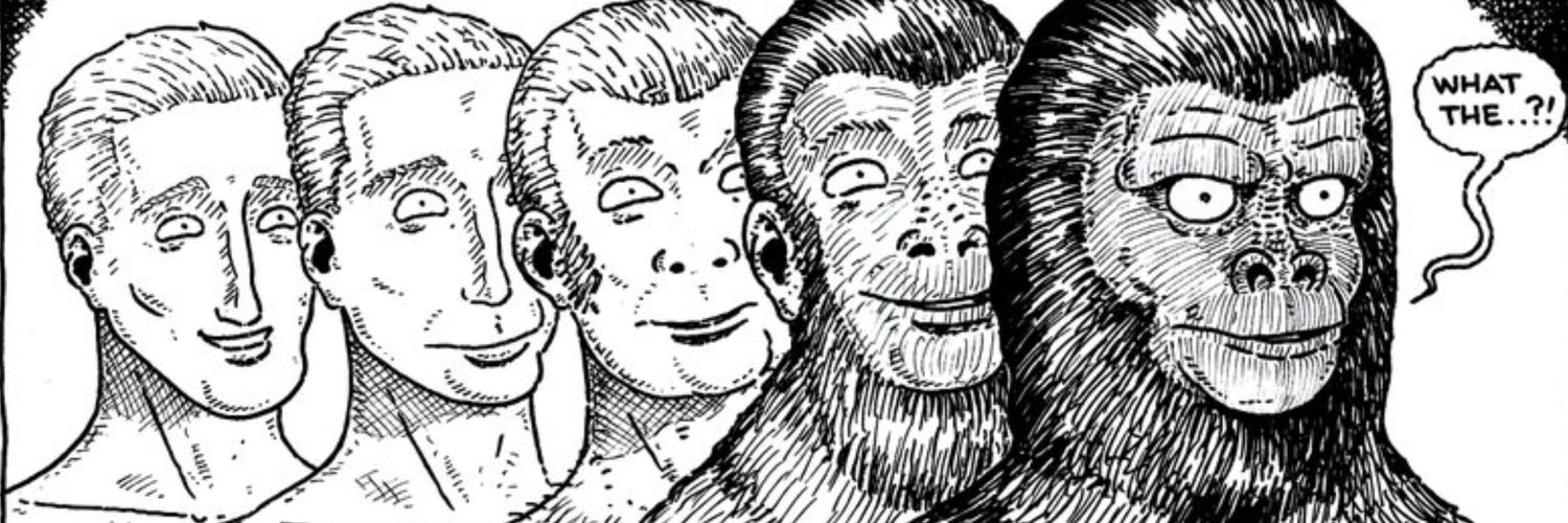 João Morgado banner