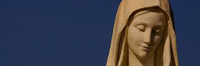 MedjCalling's profile banner image