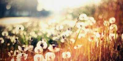 RunninForMojo's profile banner image