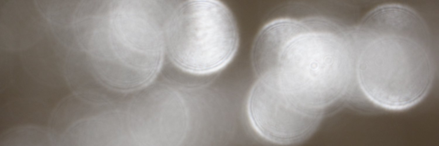MookyParrot's profile banner image