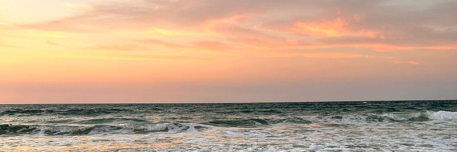 cy_1365's profile banner image
